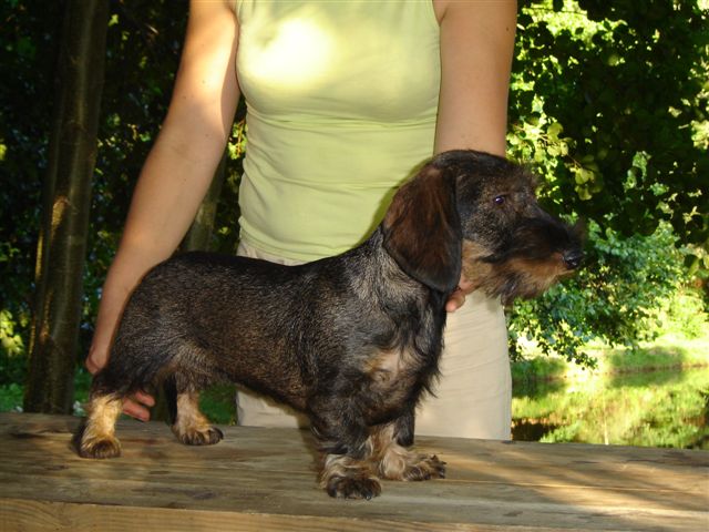 Publication : des plaines de Valinor