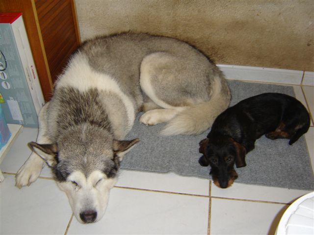 Publication : des plaines de Valinor