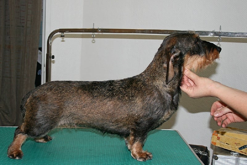 Publication : des plaines de Valinor