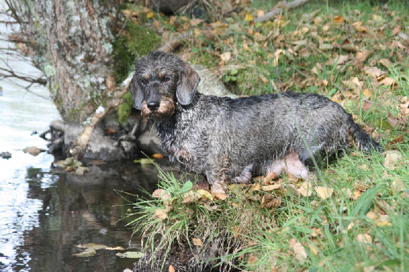 Publication : des plaines de Valinor