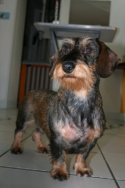 Publication : des plaines de Valinor