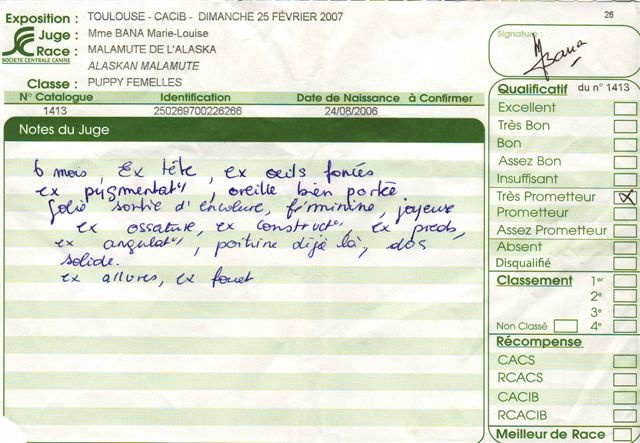 CH. Baltic okkomut des rives du haut Verdon - Très Prometteur