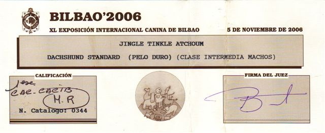 Jingle tinkle Atchoum - 1er exc. -- C.A.C.S. -- C.A.C.I.B. -- B.O.B. -- 3ème B.O.G.