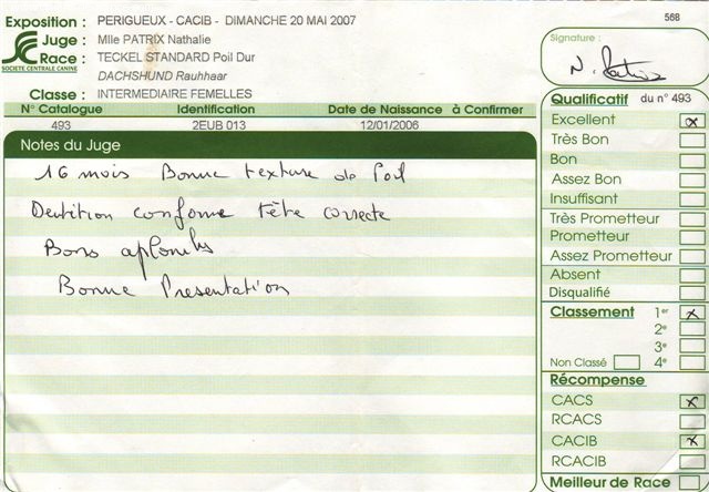 CH. Biscotte Du sasia - 1er exc. -- C.A.C.S. -- C.A.C.I.B.