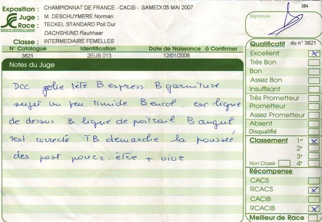 CH. Biscotte Du sasia - 1er exc. -- R.C.A.C.S. -- R.C.A.C.I.B.