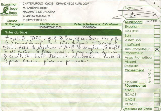 CH. Baltic okkomut des rives du haut Verdon - Très Prometteur