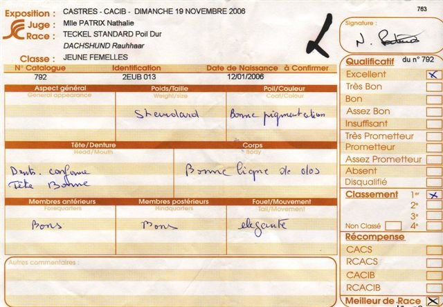 CH. Biscotte Du sasia - 1er exc. -- Meilleur jeune