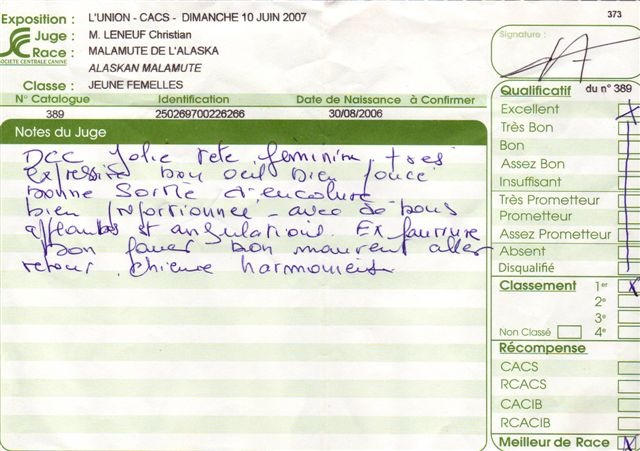 CH. Baltic okkomut des rives du haut Verdon - 1er exc. -- B.O.B. -- B.O.G.