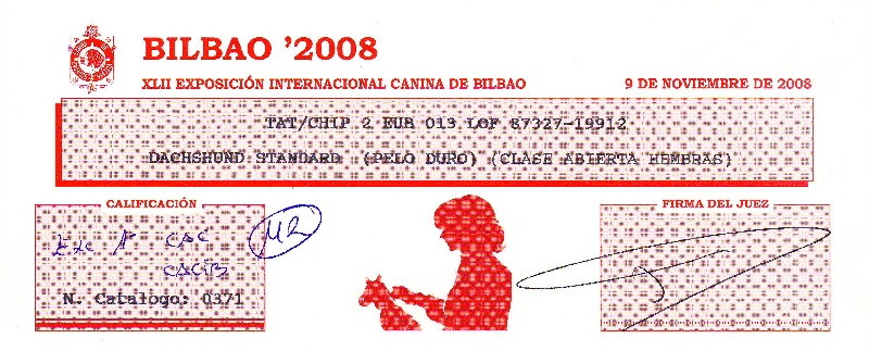 CH. Biscotte Du sasia - 1er exc.- C.A.C.S.- C.A.C.I.B.- B.O.B.