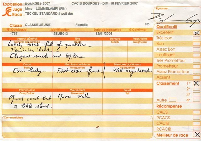 CH. Biscotte Du sasia - 1er exc. -- B.O.B. -- B.O.G.