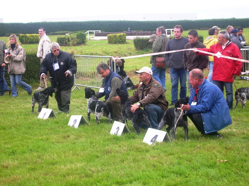 TR. CH. Artee de la Mare Bourcy - 3eme Excellent Classe travail en NE