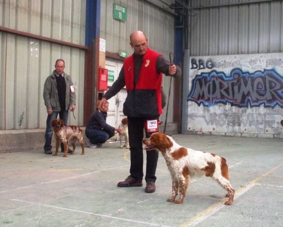 TR. CH. Clip De saint thurial - 4è EXC