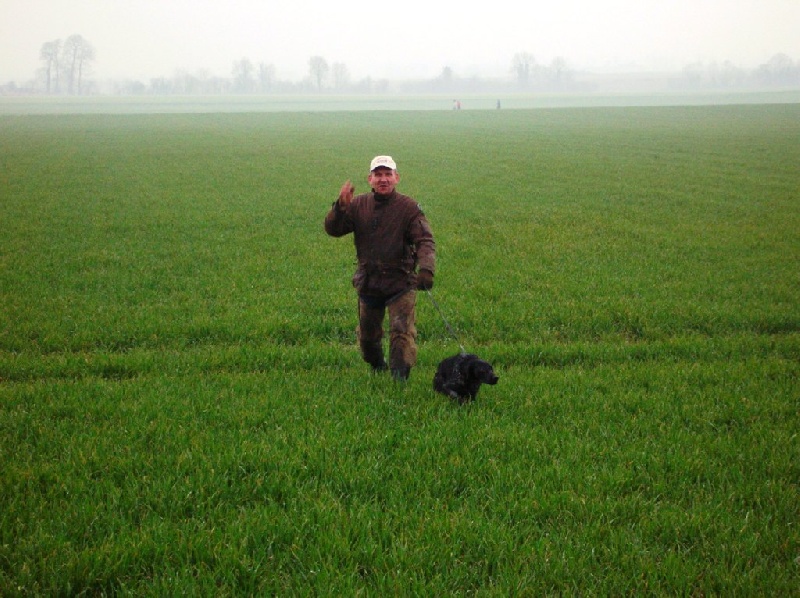 TR. CH. Artee de la Mare Bourcy - 2eme Exc - RCACT