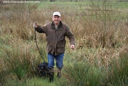 TR. CH. Artee de la Mare Bourcy - 1er Exc CACT