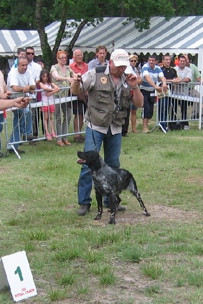 TR. CH. Artee de la Mare Bourcy - 2eme Exc