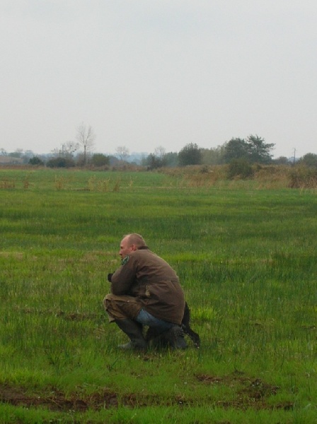 TR. CH. Artee de la Mare Bourcy - 1er Excellent