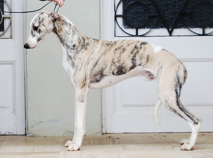 Publication : Can Nel