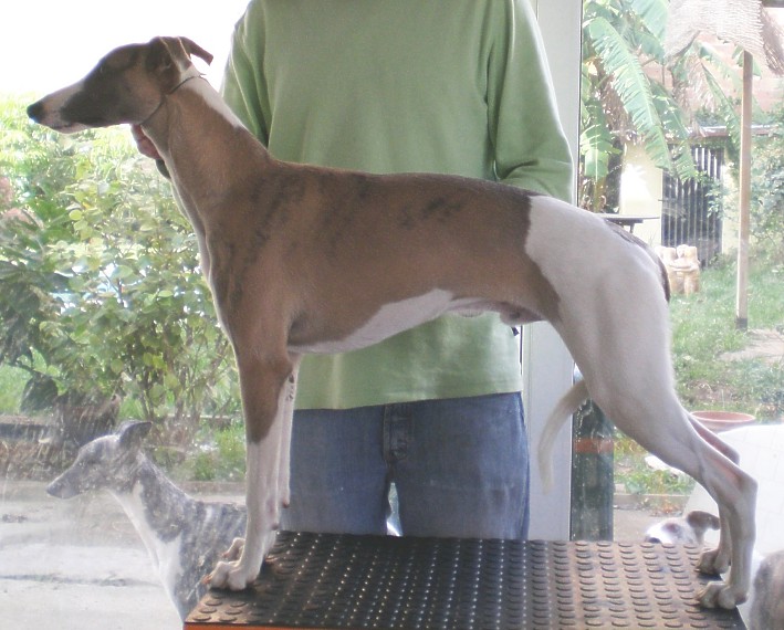 Publication : Can Nel