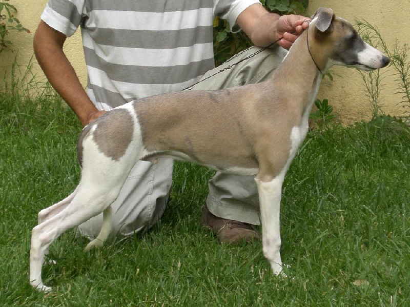 Publication : Can Nel