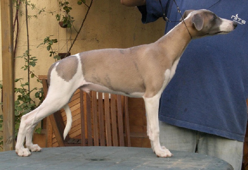 Publication : Can Nel