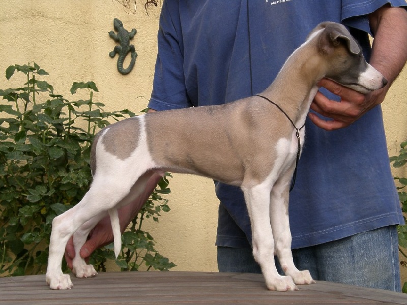 Publication : Can Nel