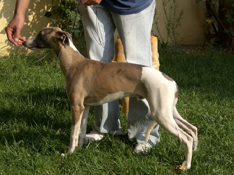 Publication : Can Nel