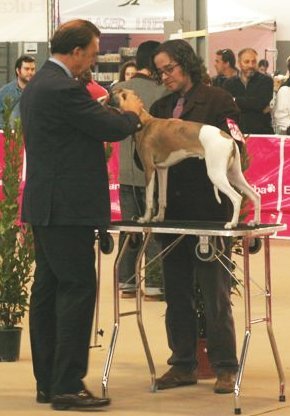 CH. Caruso du castel minervois - MB 1