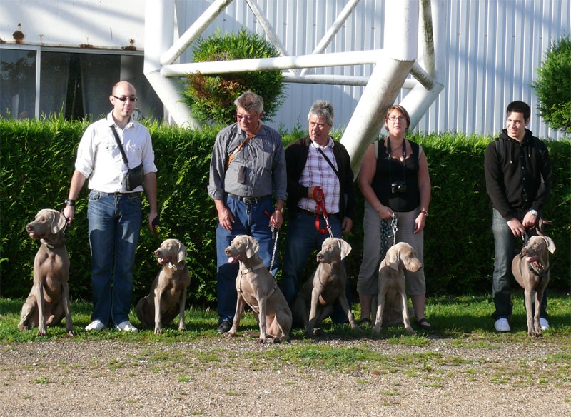 Secret de Lune D'just a dream - Meilleur lot géniteur