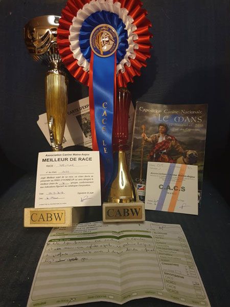 Secret de Lune Monsieur jack - 1er EXC - CACS & BOB