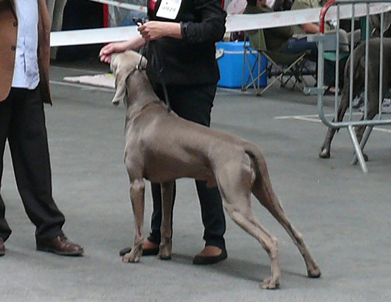 Secret de Lune D'just a dream - 1er exc - R-CACS