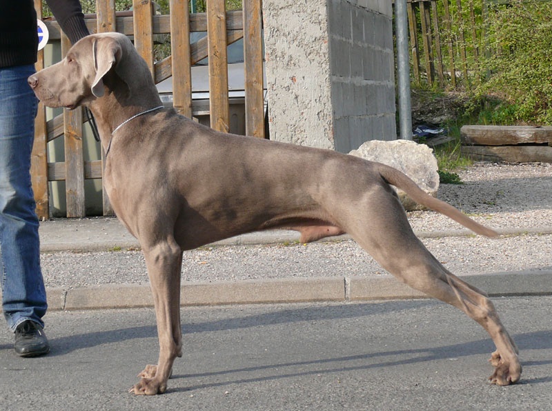 Secret de Lune D'just a dream - Excellent