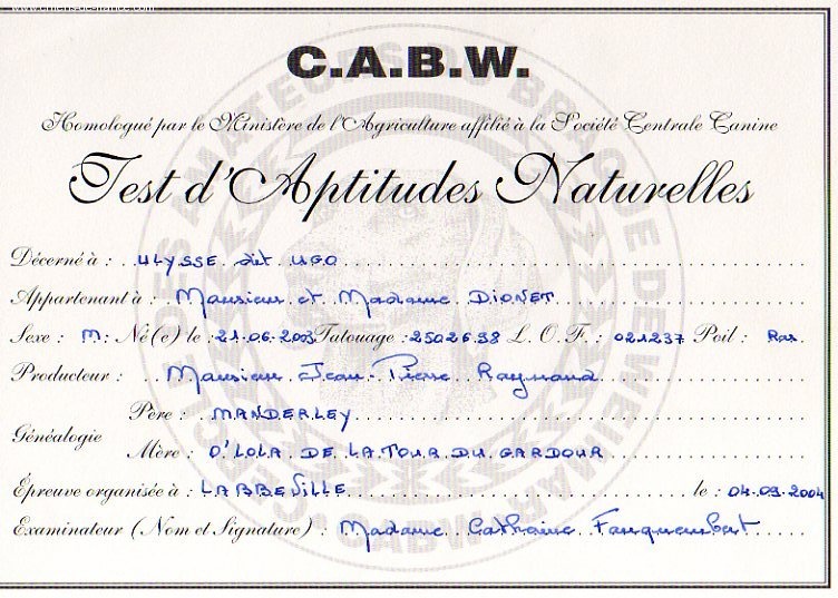 Ulysse dit ugo (Sans Affixe) - TAN