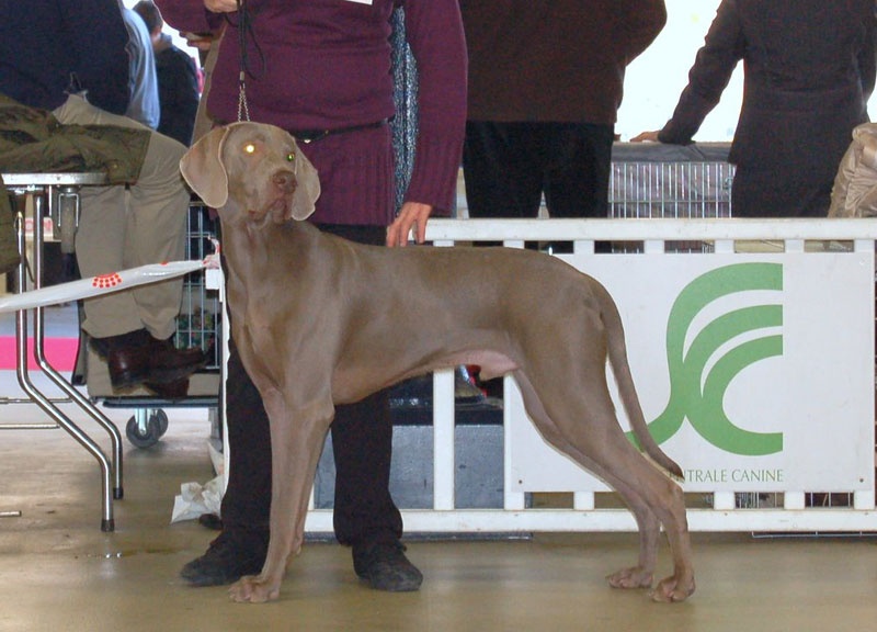 Secret de Lune D'just a dream - 1er excellent- en classe jeune