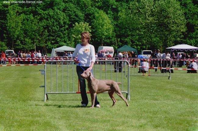 Ulysse dit ugo (Sans Affixe) - R-CACS / 2ème excellent en classe ouverte