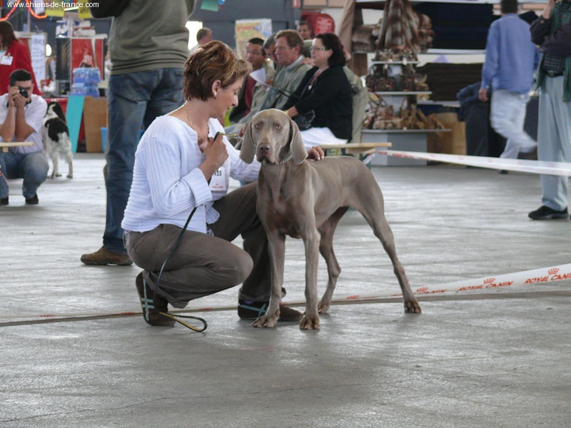 V'louna de la Ferme du Rotour - 4ème excellent en classe ouverte