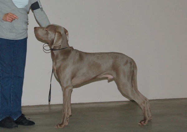 Secret de Lune D'just a dream - Très prometteur