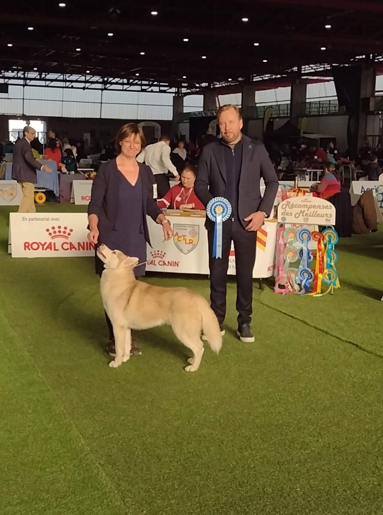 Seth of Wolf's River - Meilleur de sexe opposé