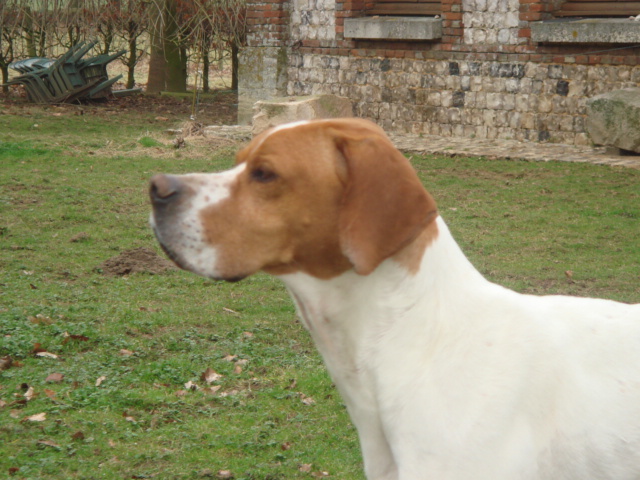 Publication : des plaines d'opale Auteur : R. LEFEBVRE