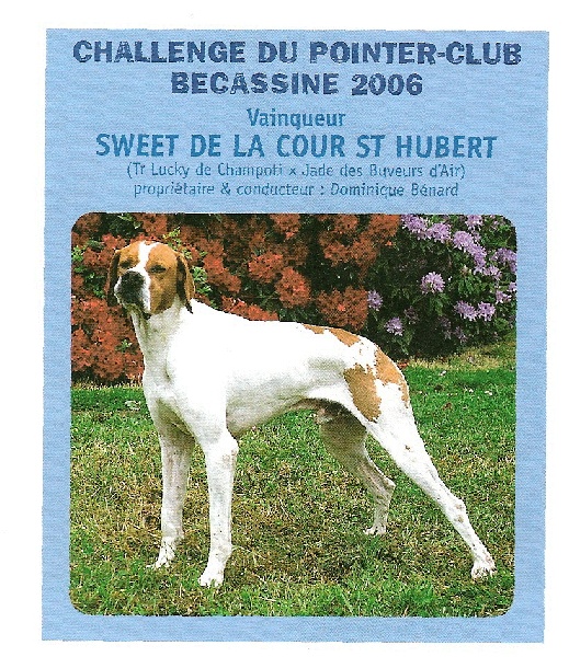 Publication : des plaines d'opale Auteur : R. LEFEBVRE