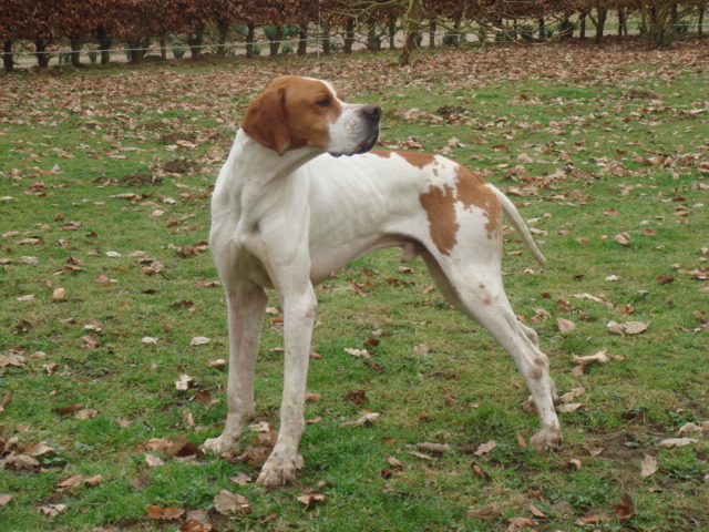 Publication : des plaines d'opale Auteur : R. LEFEBVRE