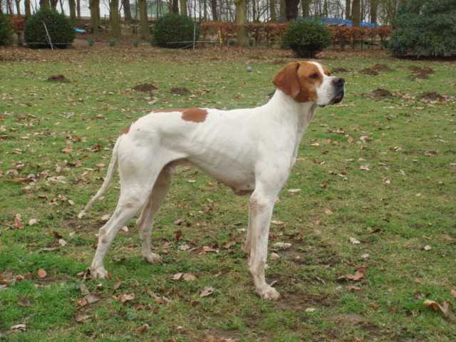 Publication : des plaines d'opale Auteur : R. LEFEBVRE