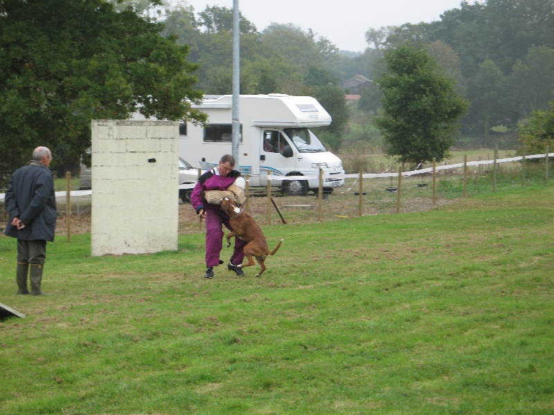 Anaïs ice cream's queen des Zé de Philoctête