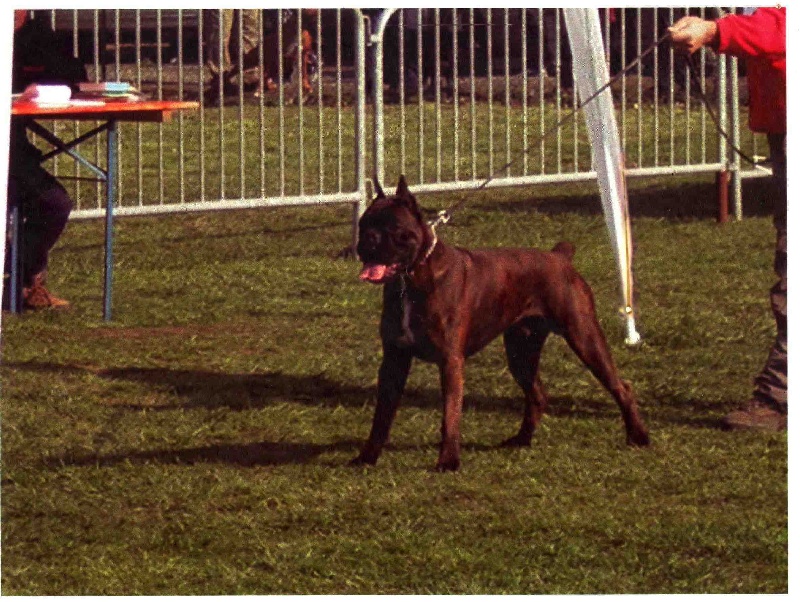 Sultan dit sirius de l'empire romain