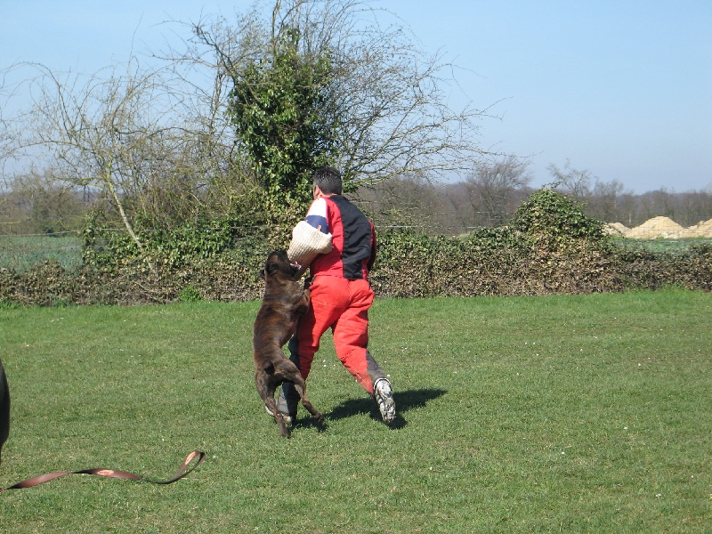 Sultan dit sirius de l'empire romain