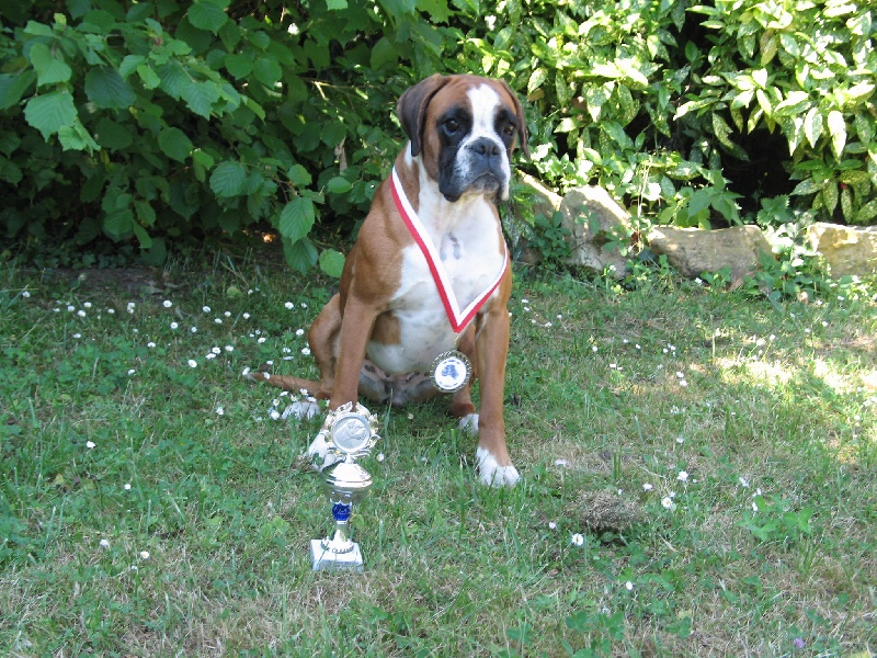 Anaïs ice cream's queen des Zé de Philoctête