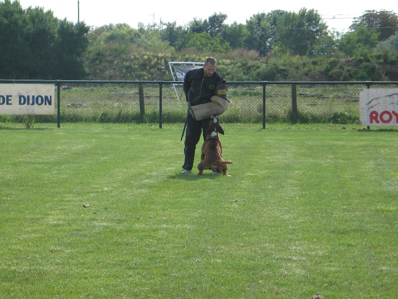 Anaïs ice cream's queen des Zé de Philoctête
