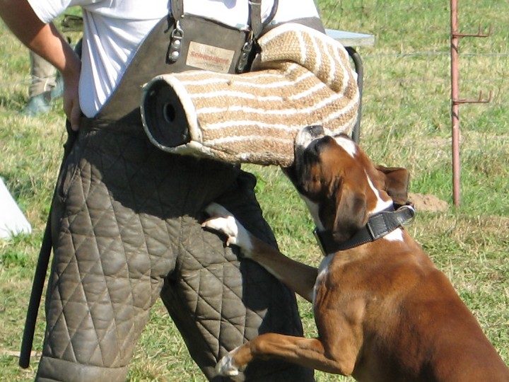 Anaïs ice cream's queen des Zé de Philoctête