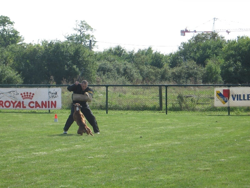 Anaïs ice cream's queen des Zé de Philoctête