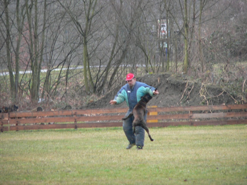 Sultan dit sirius de l'empire romain