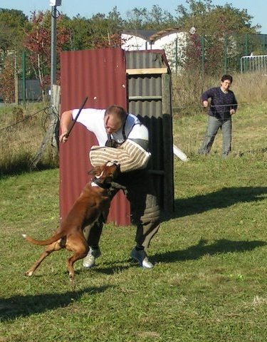 Anaïs ice cream's queen des Zé de Philoctête